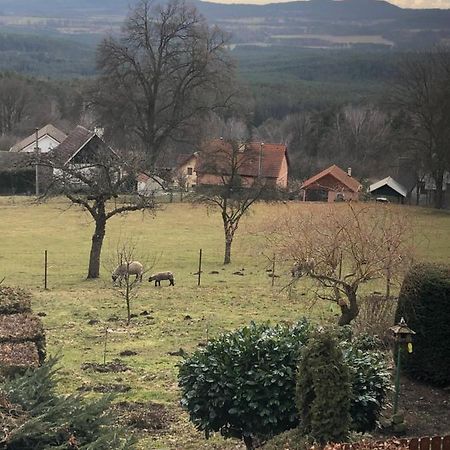 Pension S láskou Karel Bezděz Exterior foto