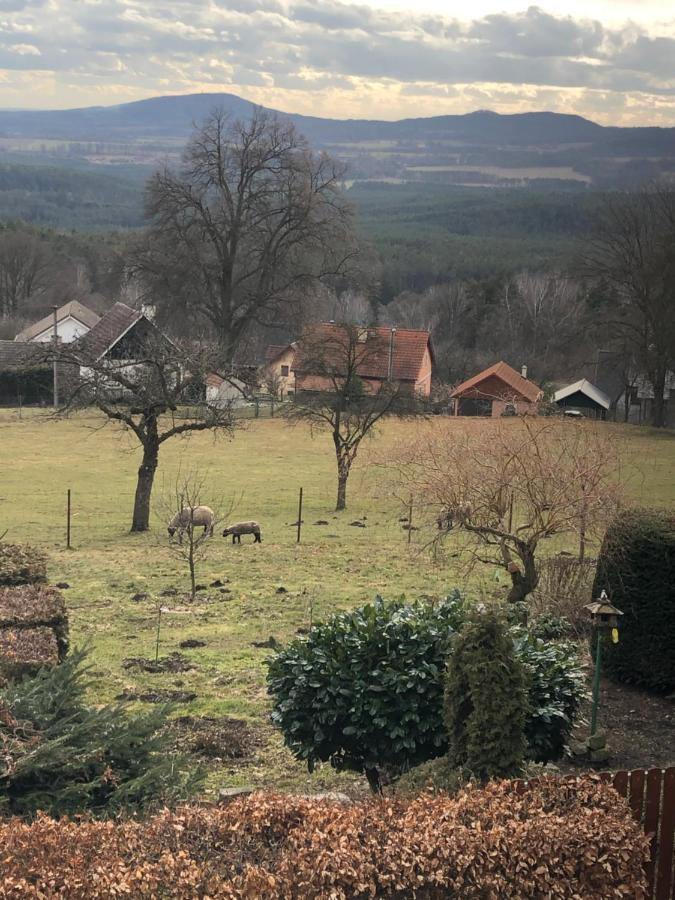 Pension S láskou Karel Bezděz Exterior foto